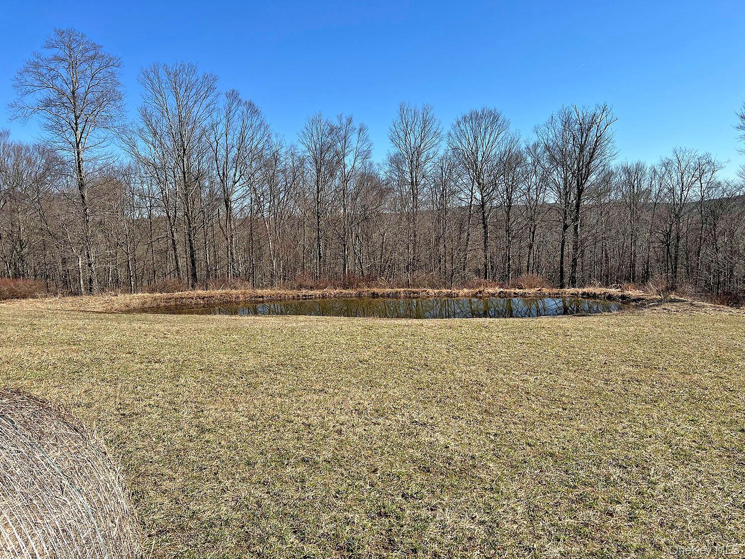 Single Family Boettger  Sullivan County, NY 12723, MLS-975389-11