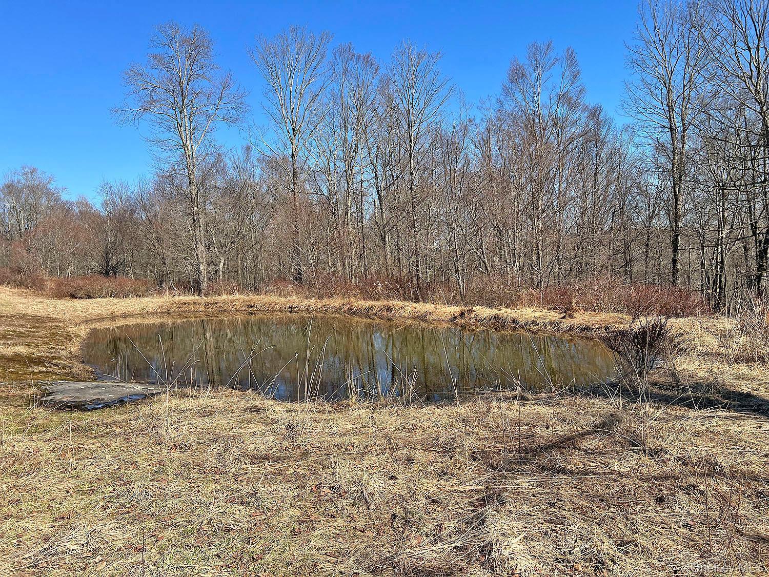 Single Family Boettger  Sullivan County, NY 12723, MLS-975389-12