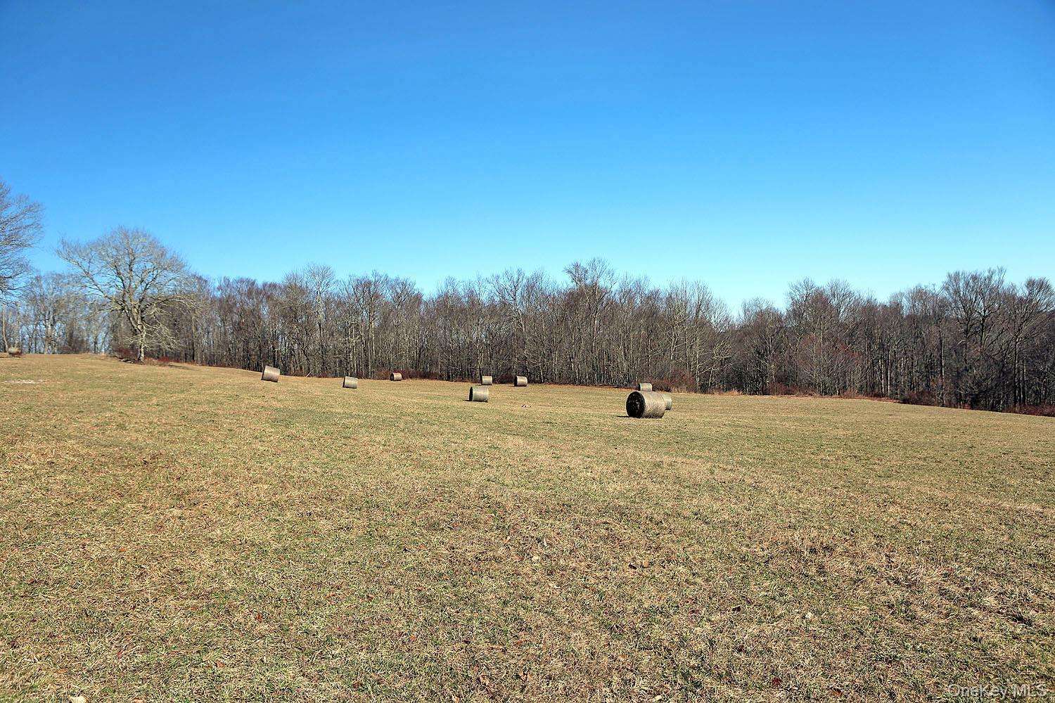 Single Family Boettger  Sullivan County, NY 12723, MLS-975389-17