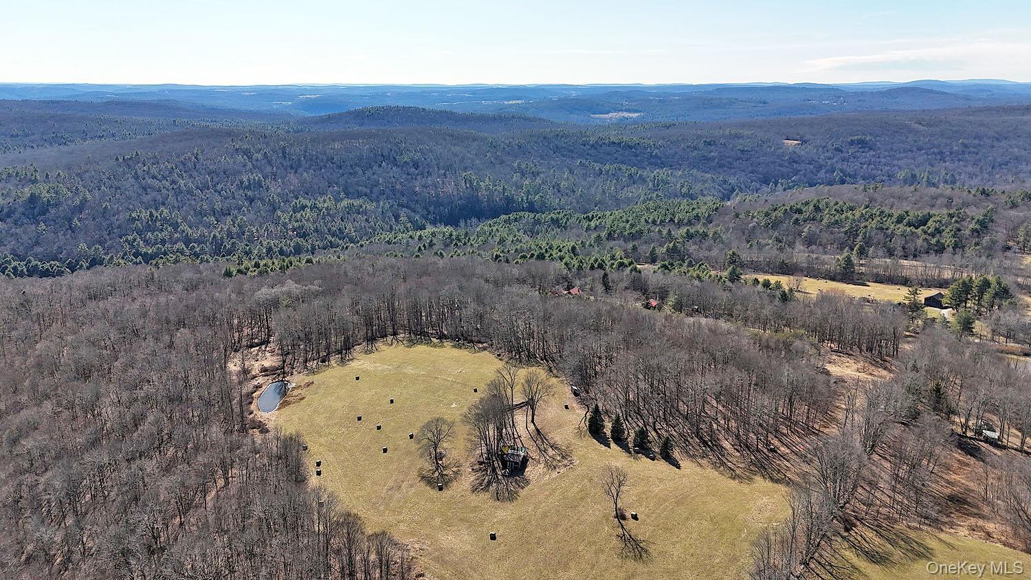 Single Family Boettger  Sullivan County, NY 12723, MLS-975389-19