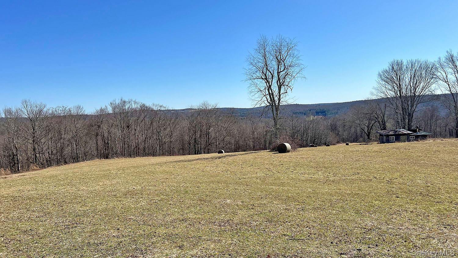 Single Family Boettger  Sullivan County, NY 12723, MLS-975389-9