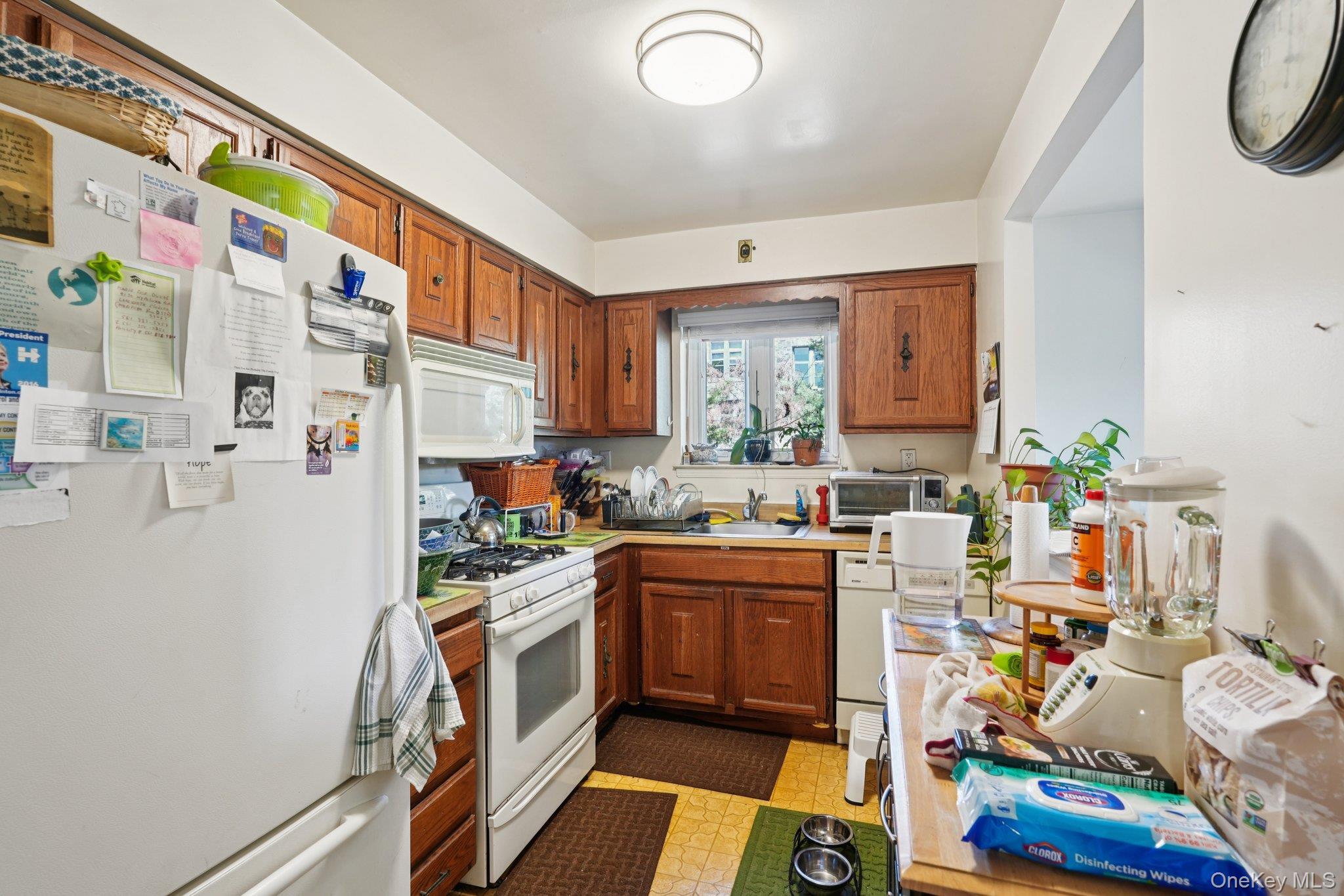 Single Family Delafield  Bronx, NY 10471, MLS-975390-10