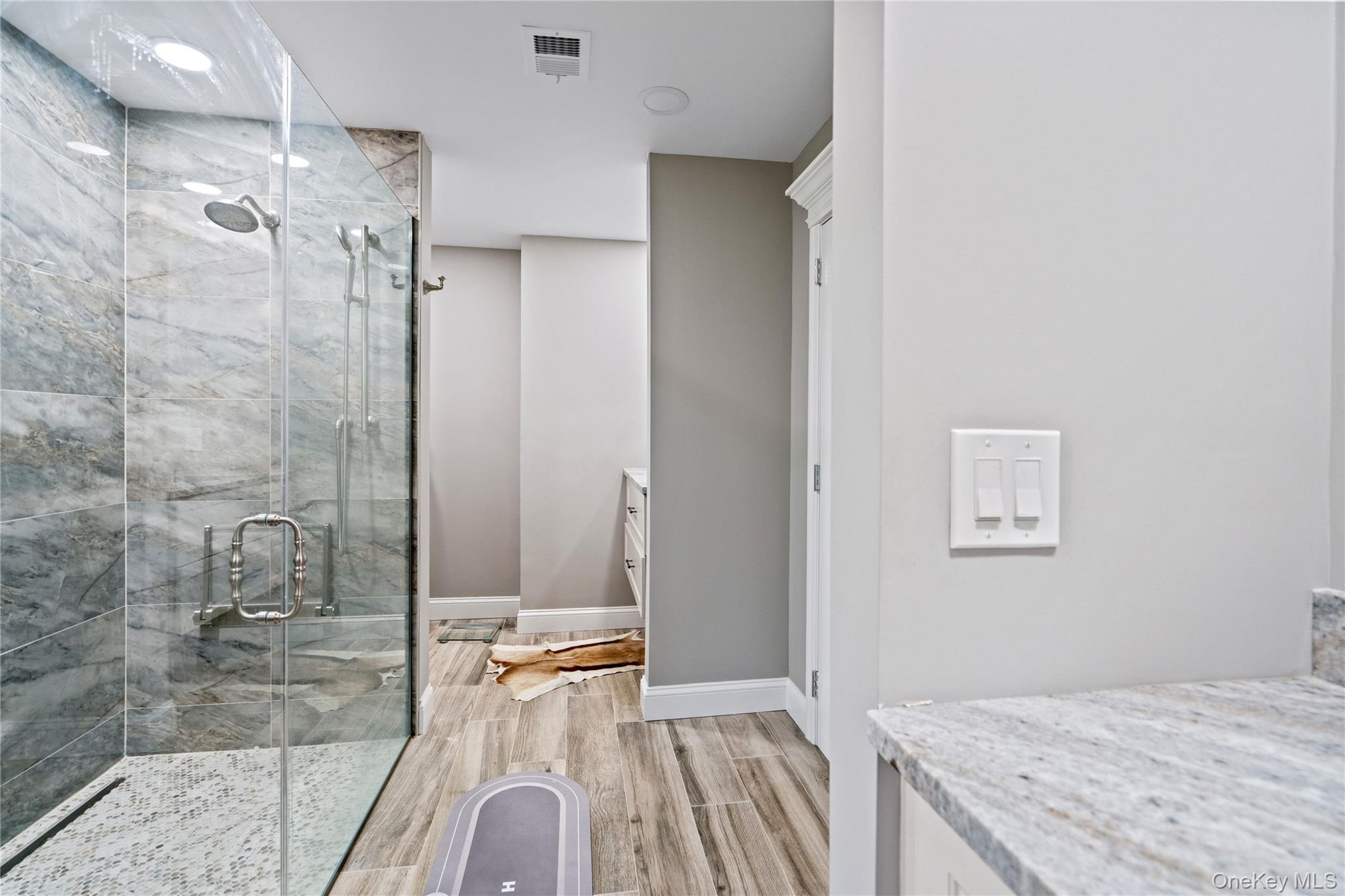 Condo Maple  Nassau County, NY 11753, MLS-975423-24