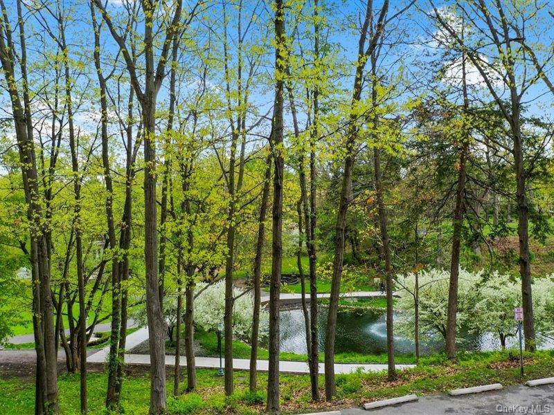 Condo Broadway  Out Of Area, NY 12866, MLS-975432-40