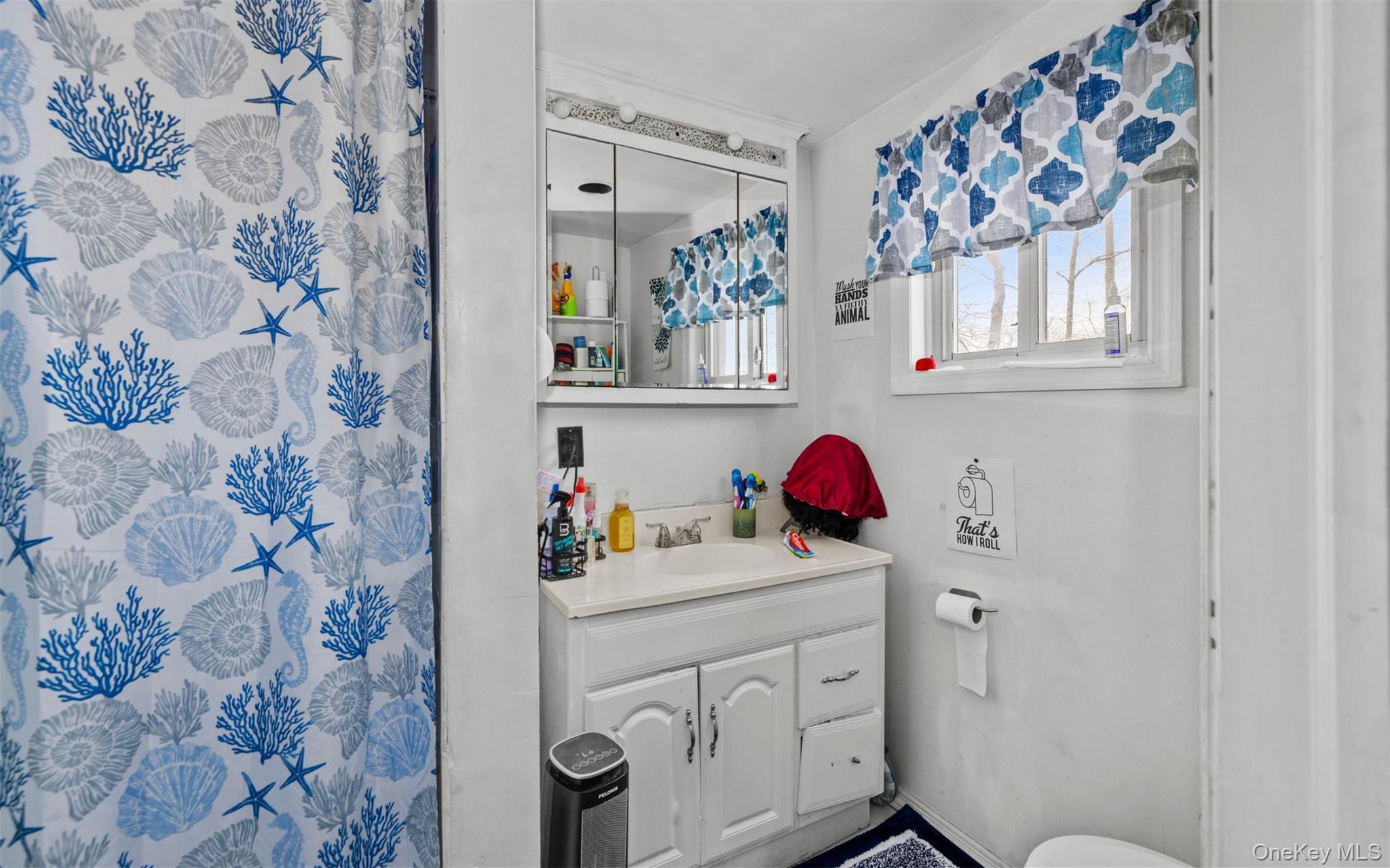 Single Family Acorn  Suffolk County, NY 11729, MLS-975465-5