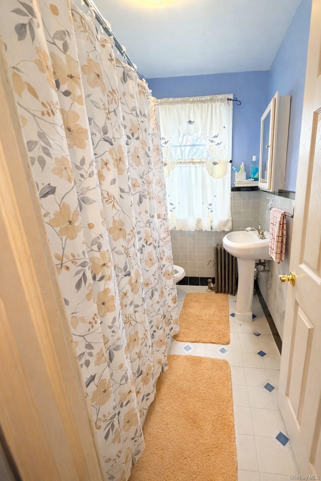 Single Family Vanderveer  Queens, NY 11428, MLS-975483-9