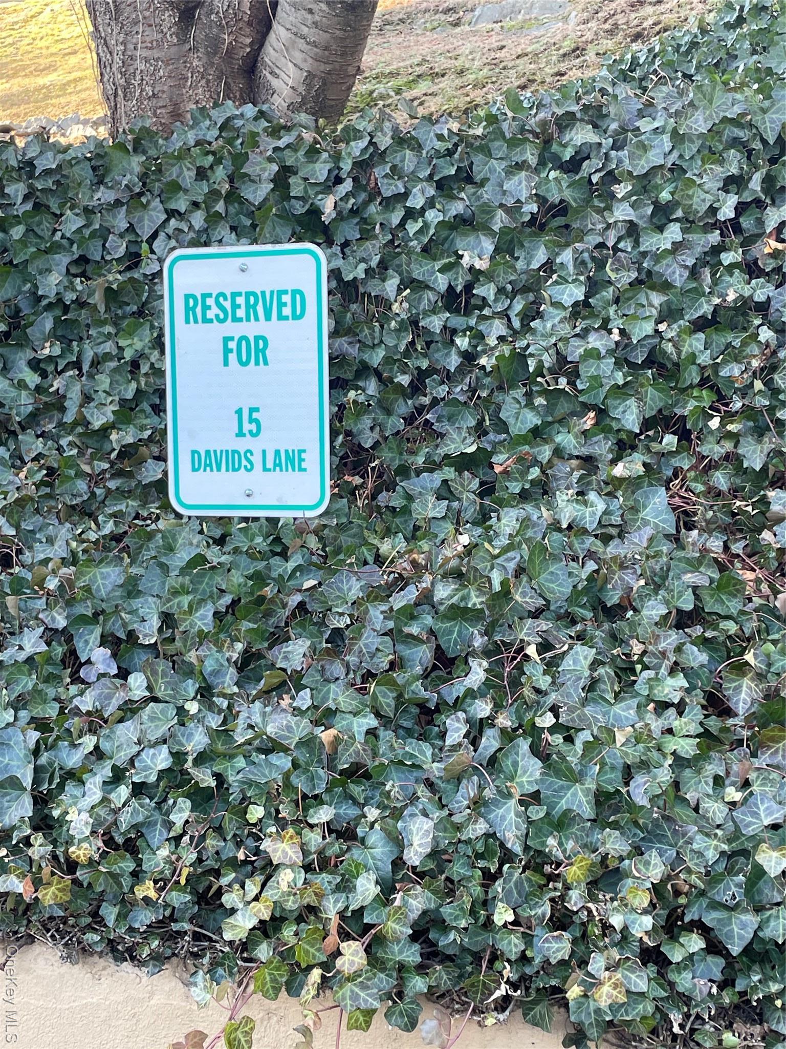 Single Family Davids  Westchester County, NY 10562, MLS-975540-36