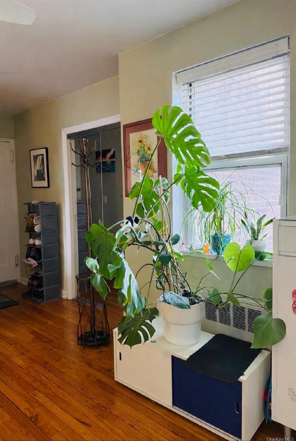 Coop 138th Street  Queens, NY 11367, MLS-975577-10