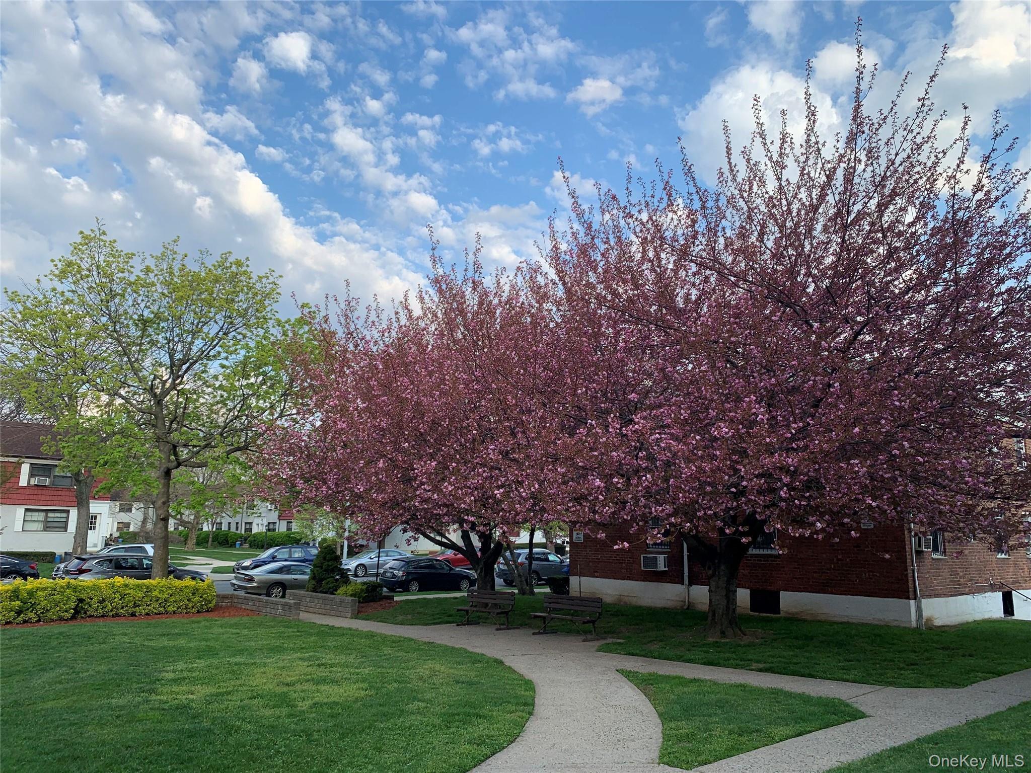 Coop 138th Street  Queens, NY 11367, MLS-975577-19