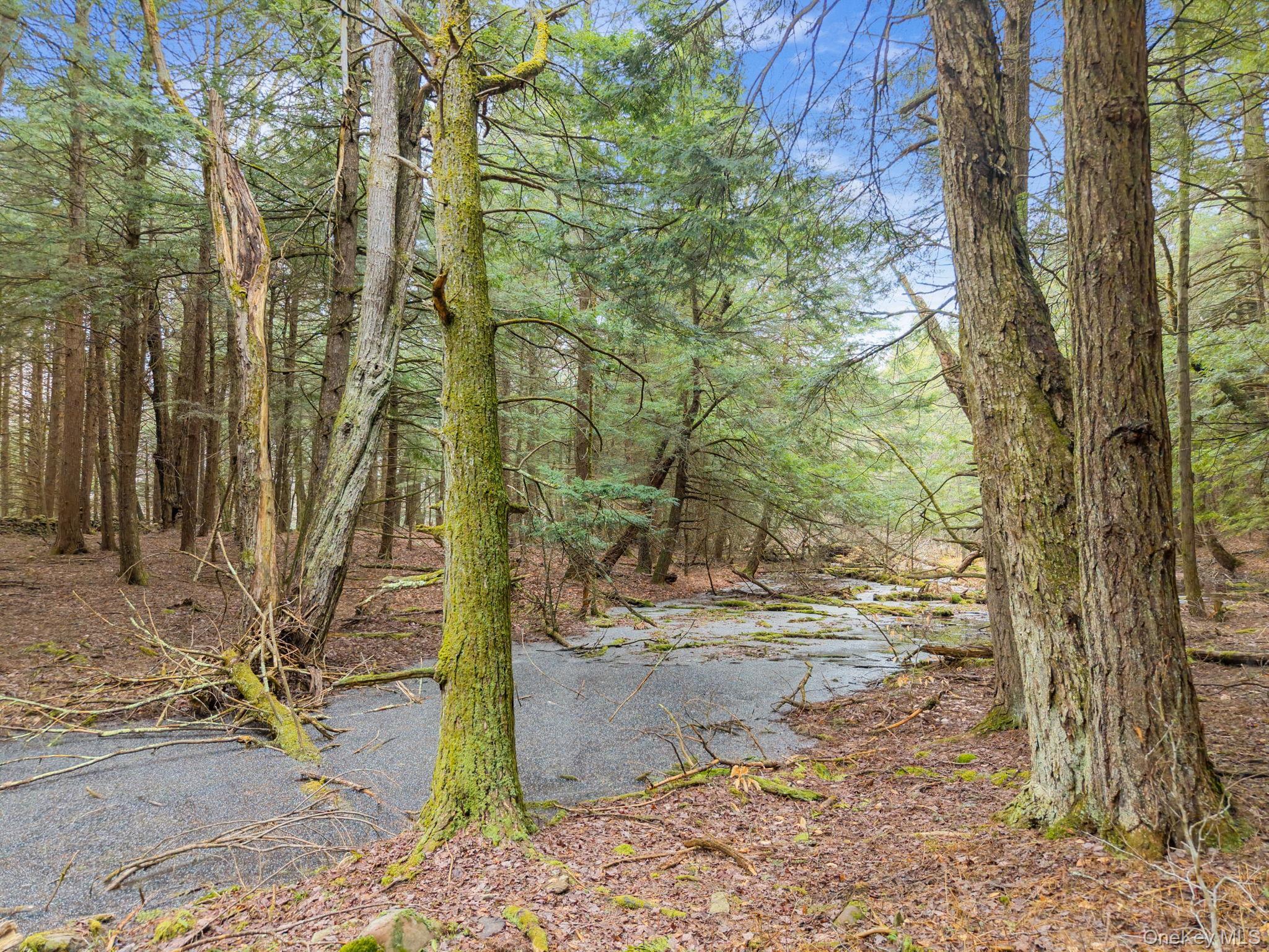 Single Family Blakesley Out Of Area, NY 12076, MLS-975583-28