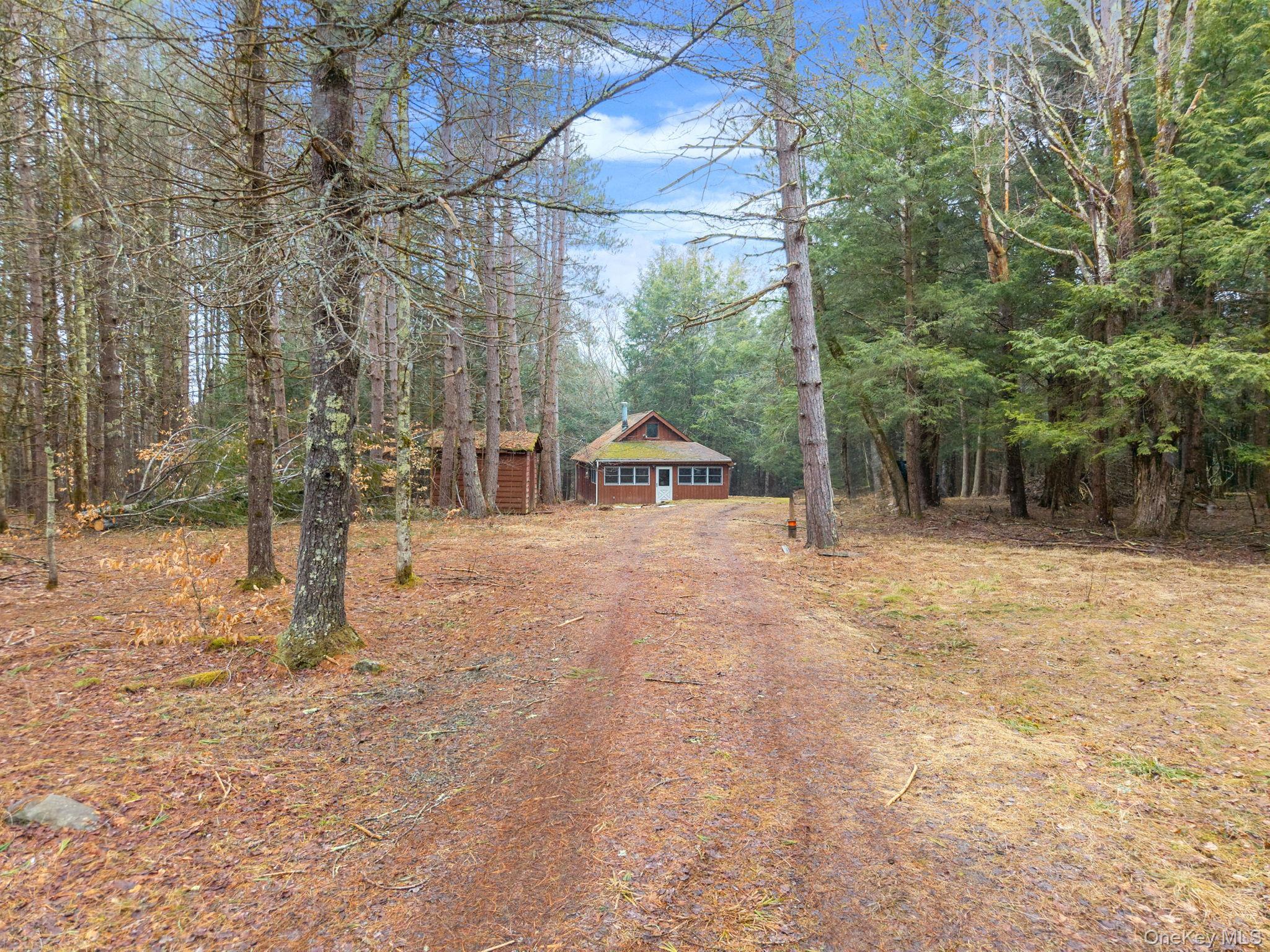 Single Family Blakesley Out Of Area, NY 12076, MLS-975583-3