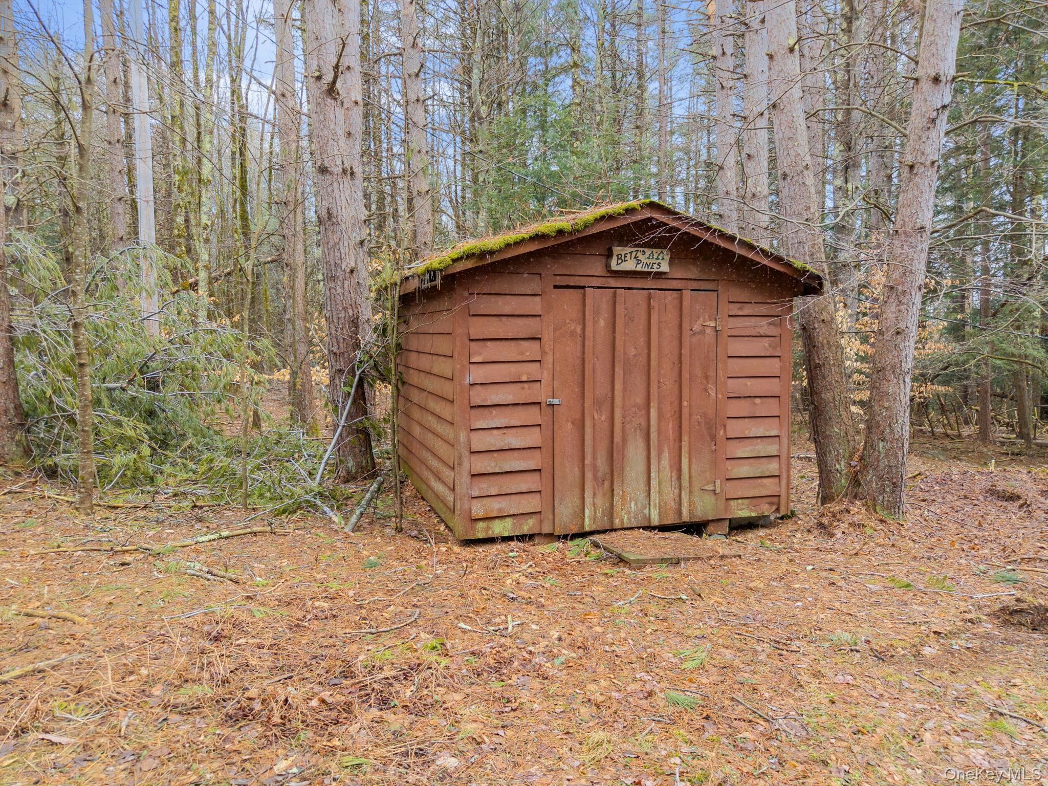 Single Family Blakesley Out Of Area, NY 12076, MLS-975583-32