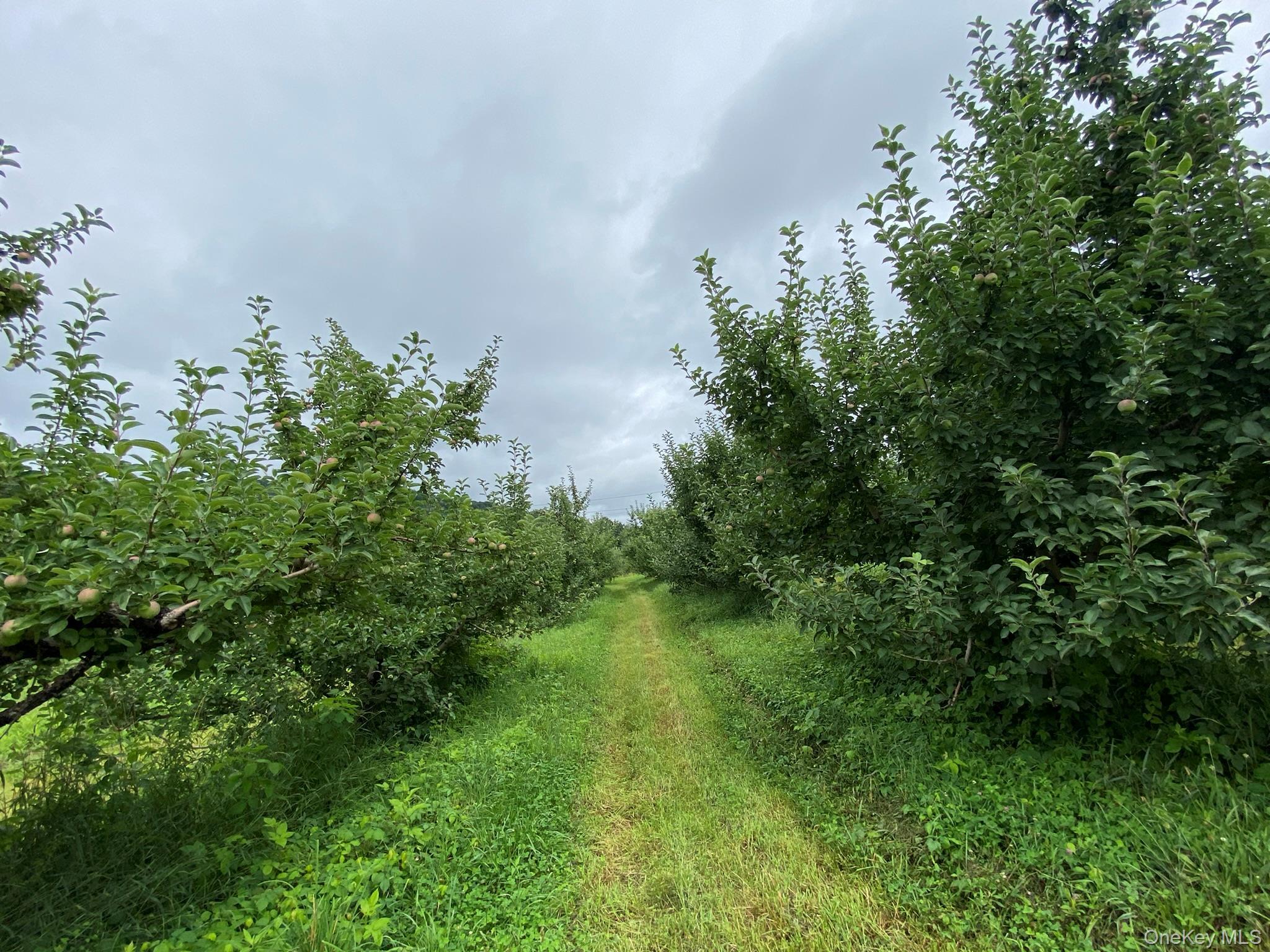 Single Family Plattekill  Ulster County, NY 12542, MLS-975598-23