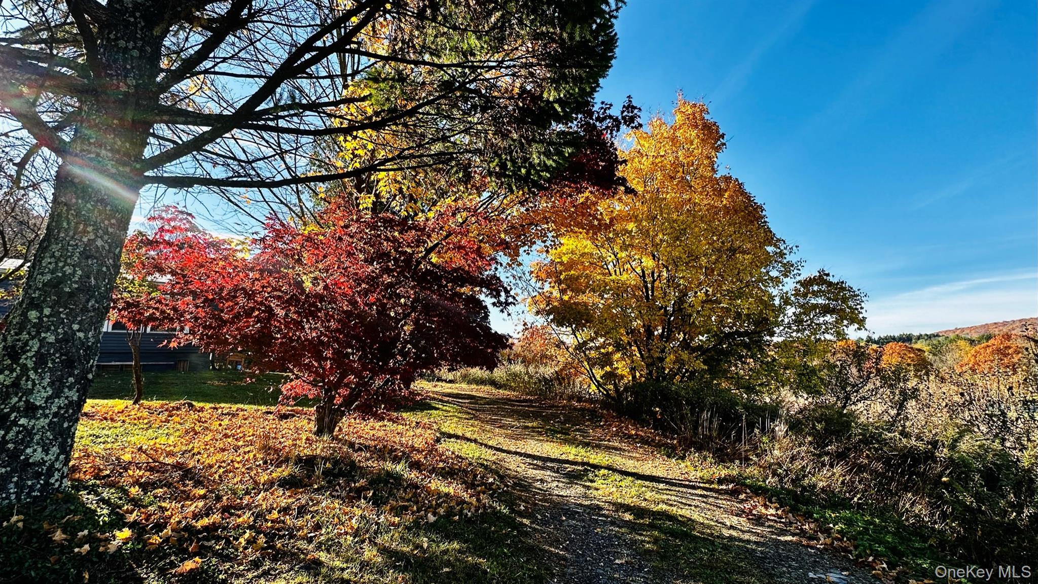 Single Family Plattekill  Ulster County, NY 12542, MLS-975598-25