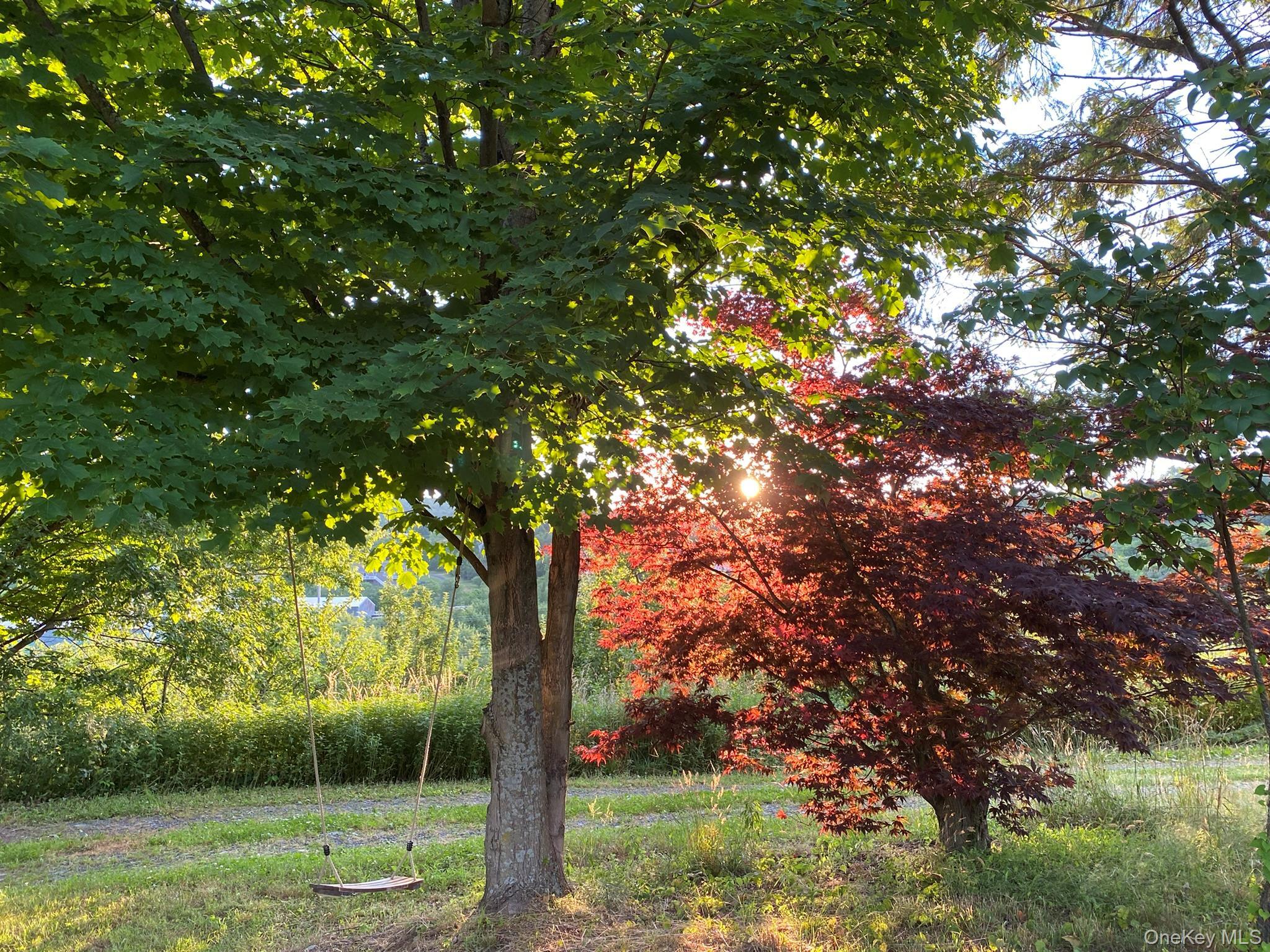 Single Family Plattekill  Ulster County, NY 12542, MLS-975598-28