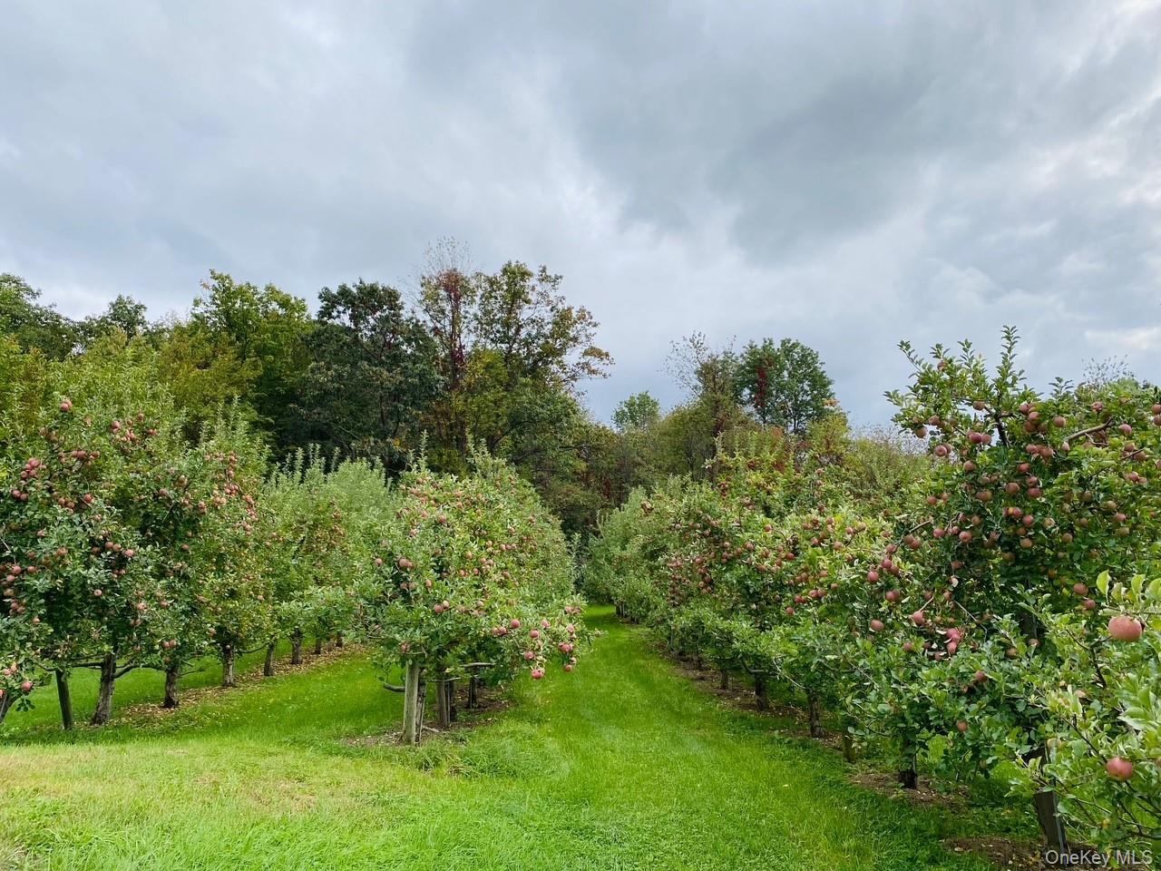 Single Family Plattekill  Ulster County, NY 12542, MLS-975598-30