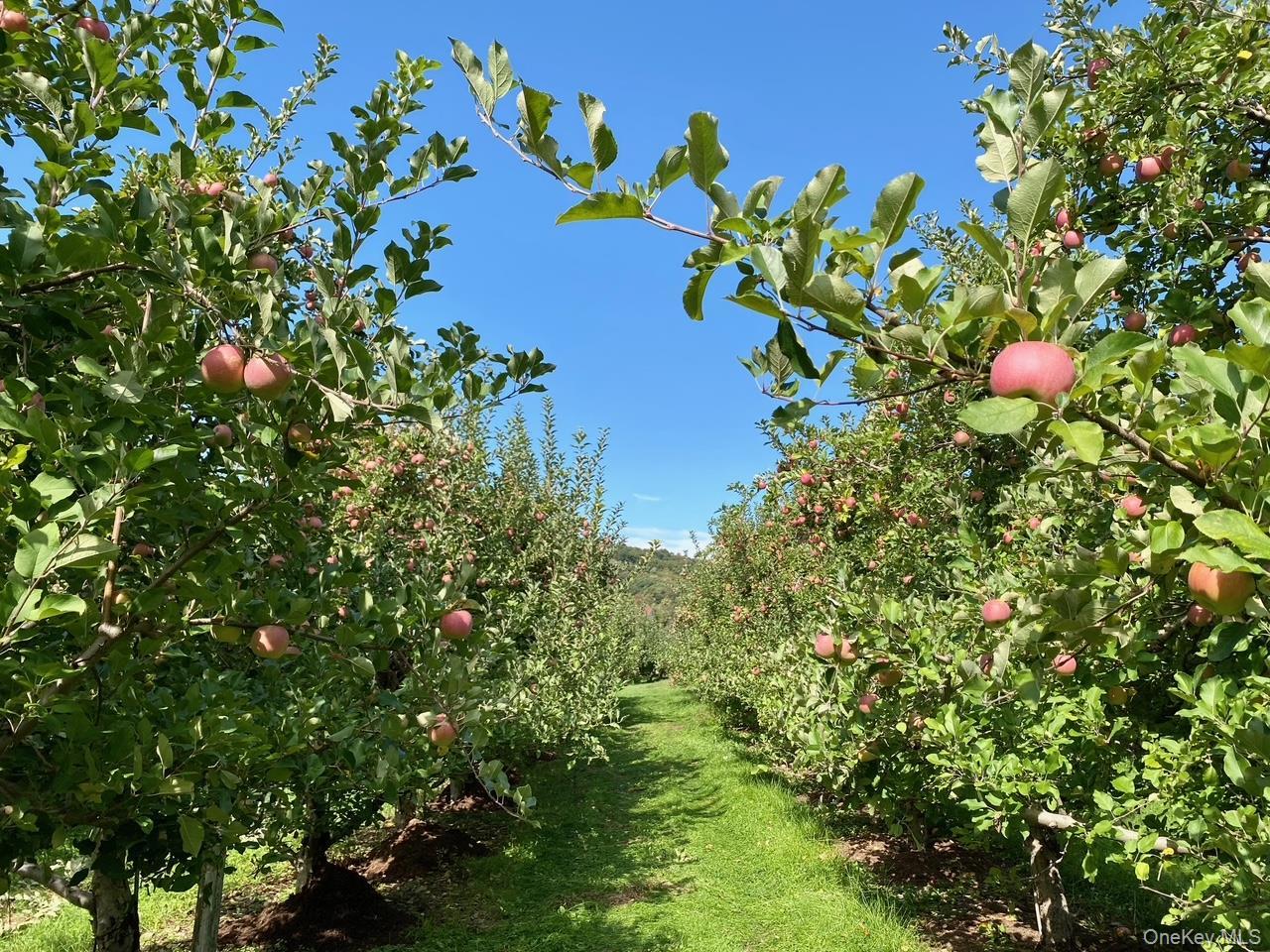 Single Family Plattekill  Ulster County, NY 12542, MLS-975598-31