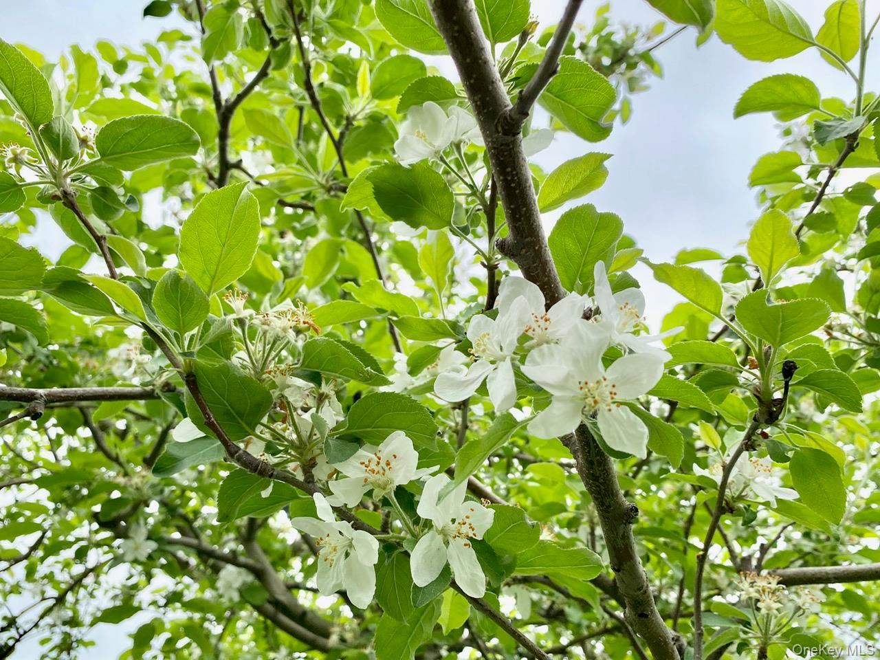 Single Family Plattekill  Ulster County, NY 12542, MLS-975598-32