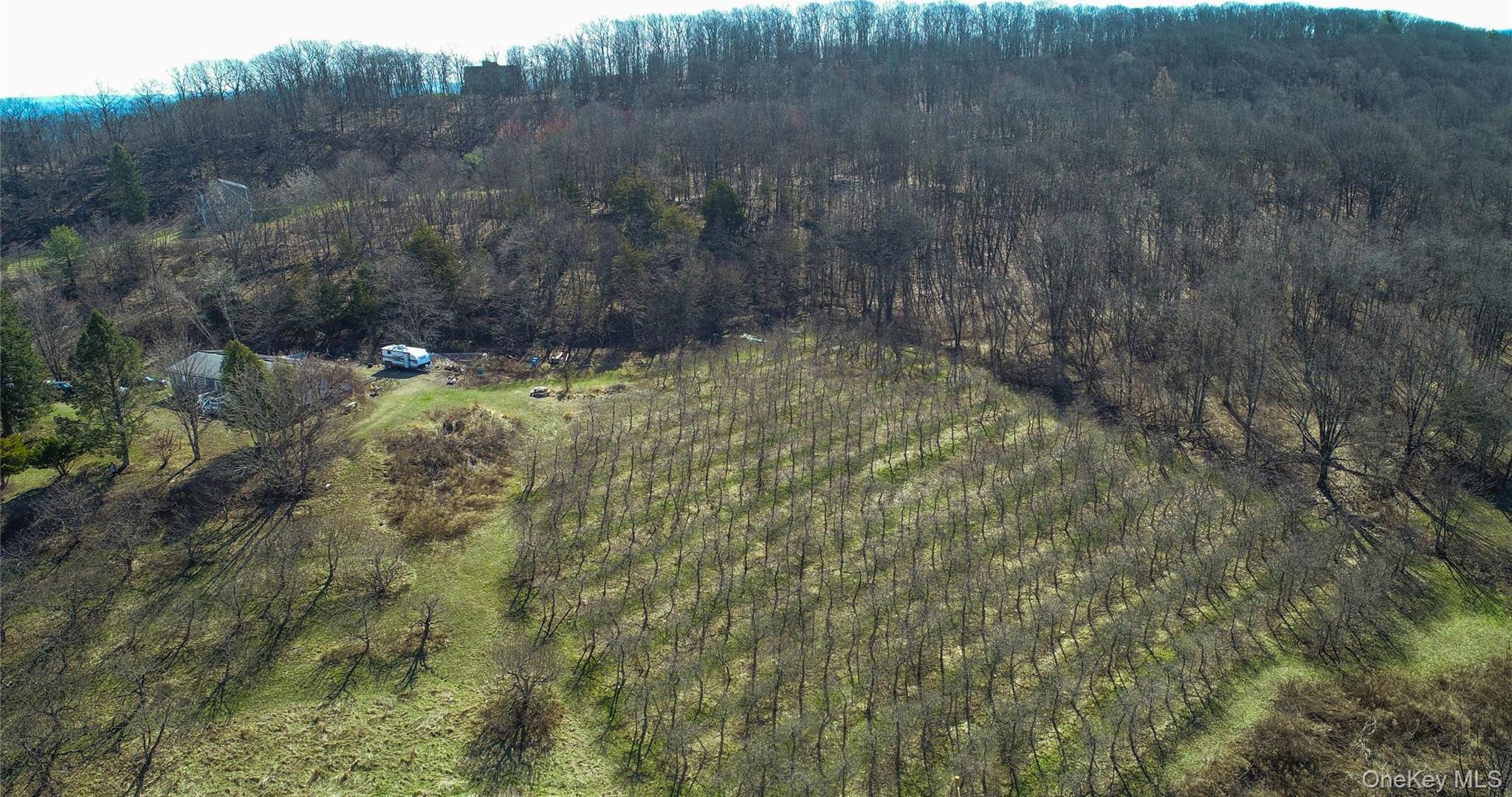 Single Family Plattekill  Ulster County, NY 12542, MLS-975598-41