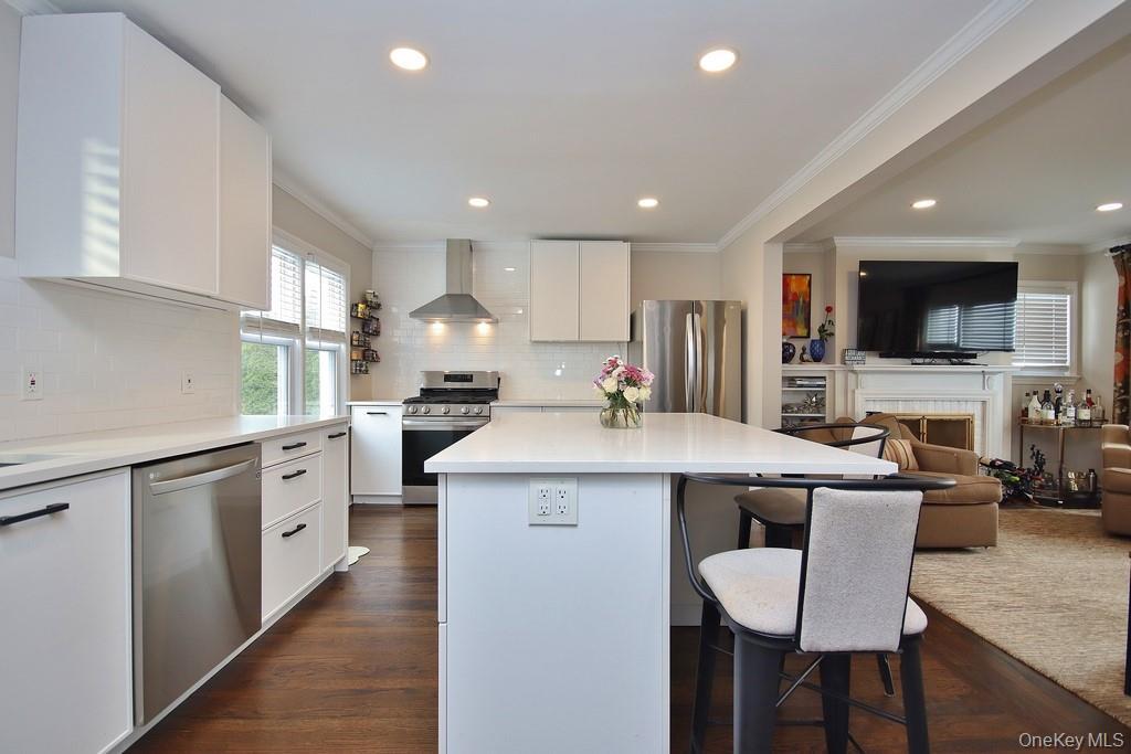 Single Family Haines Westchester County, NY 10573, MLS-975662-10