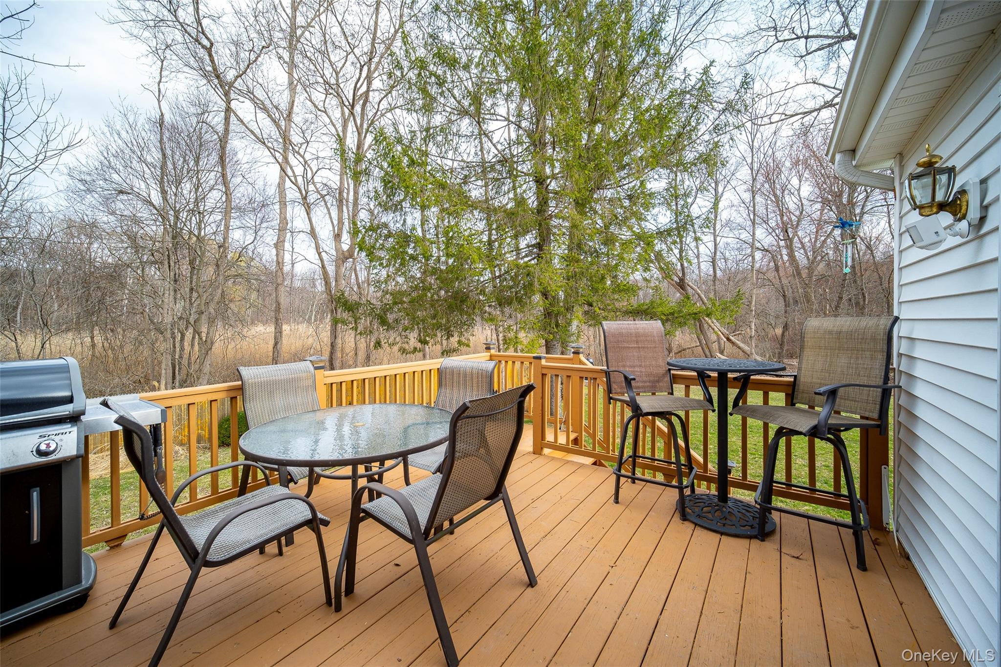 Single Family Lake Dutchess County, NY 12533, MLS-975708-29