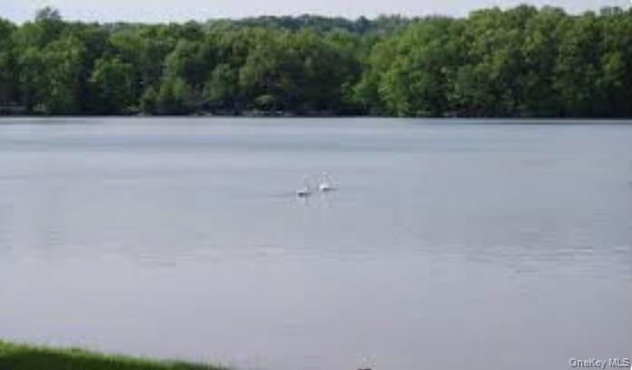 Single Family Lake Dutchess County, NY 12533, MLS-975708-4