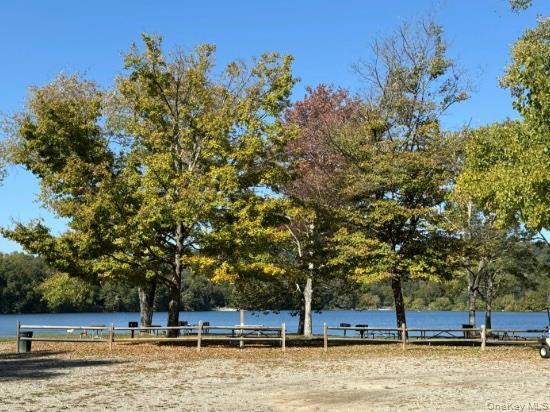 Single Family Lake Dutchess County, NY 12533, MLS-975708-6