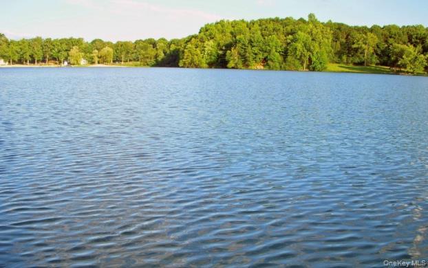 Single Family Lake Dutchess County, NY 12533, MLS-975708-7