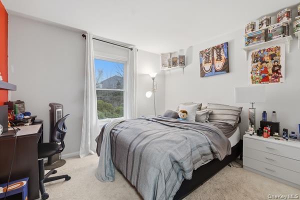 Single Family Darin  Orange County, NY 10990, MLS-975738-28