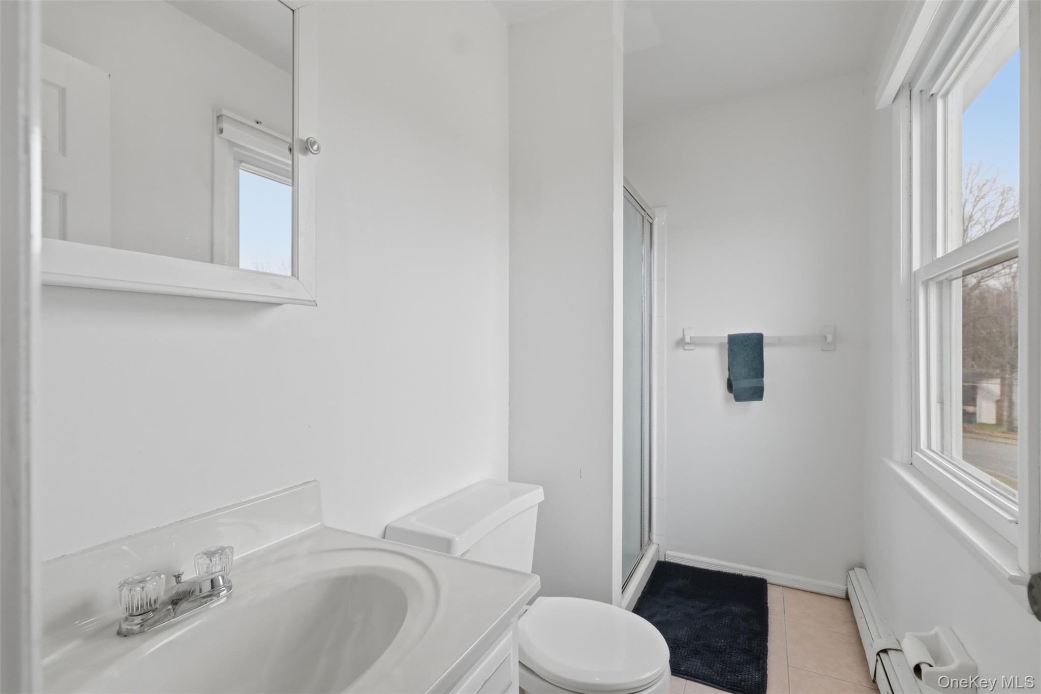 Single Family Woodland  Orange County, NY 10930, MLS-975825-38