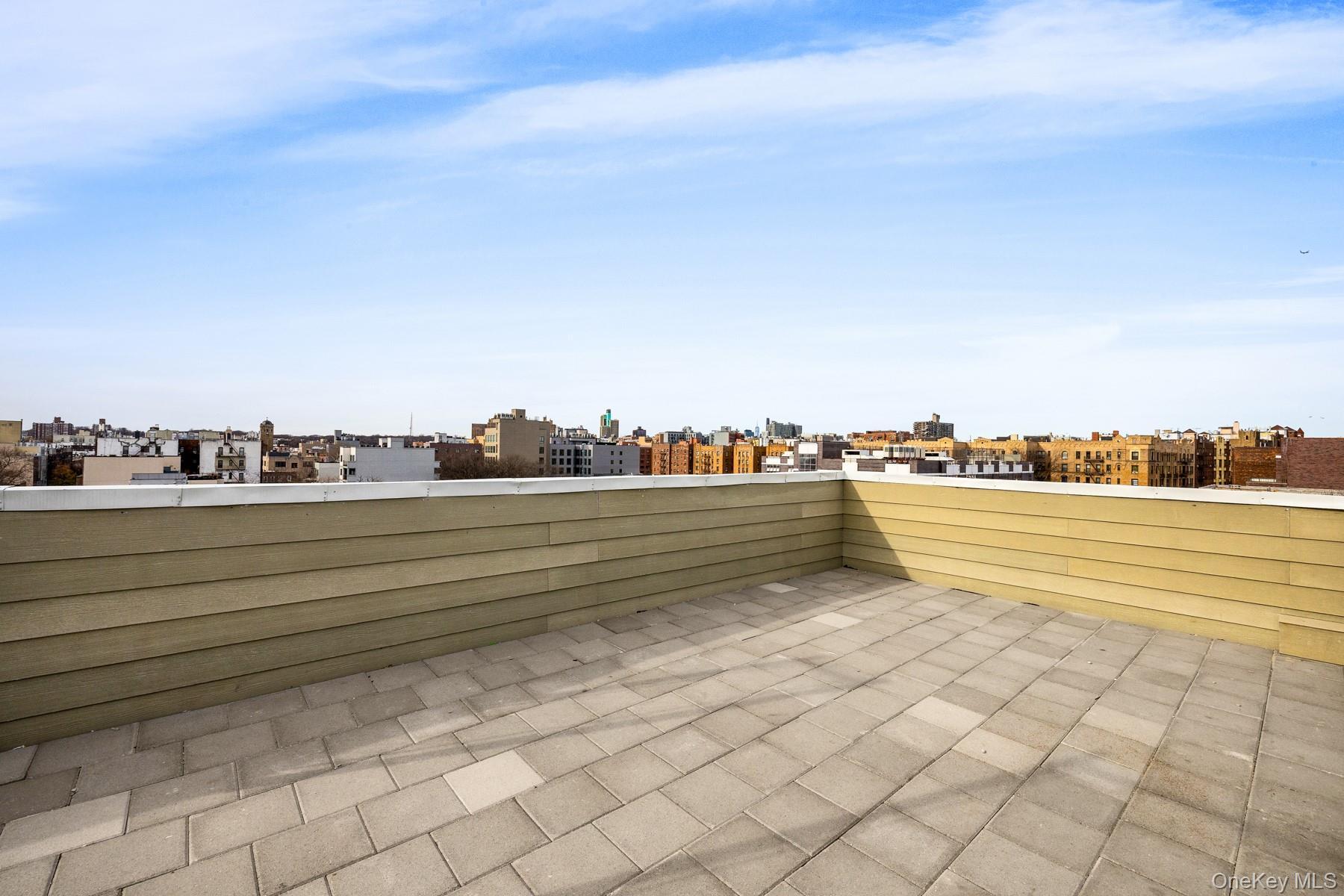 Condo Brooklyn  Brooklyn, NY 11225, MLS-975846-12