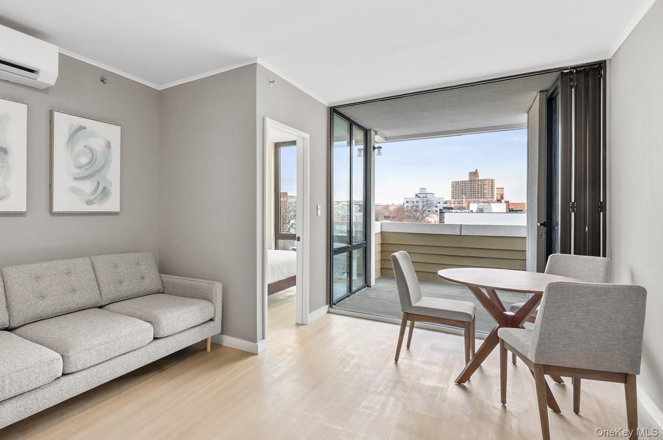 Condo Brooklyn  Brooklyn, NY 11225, MLS-975846-5