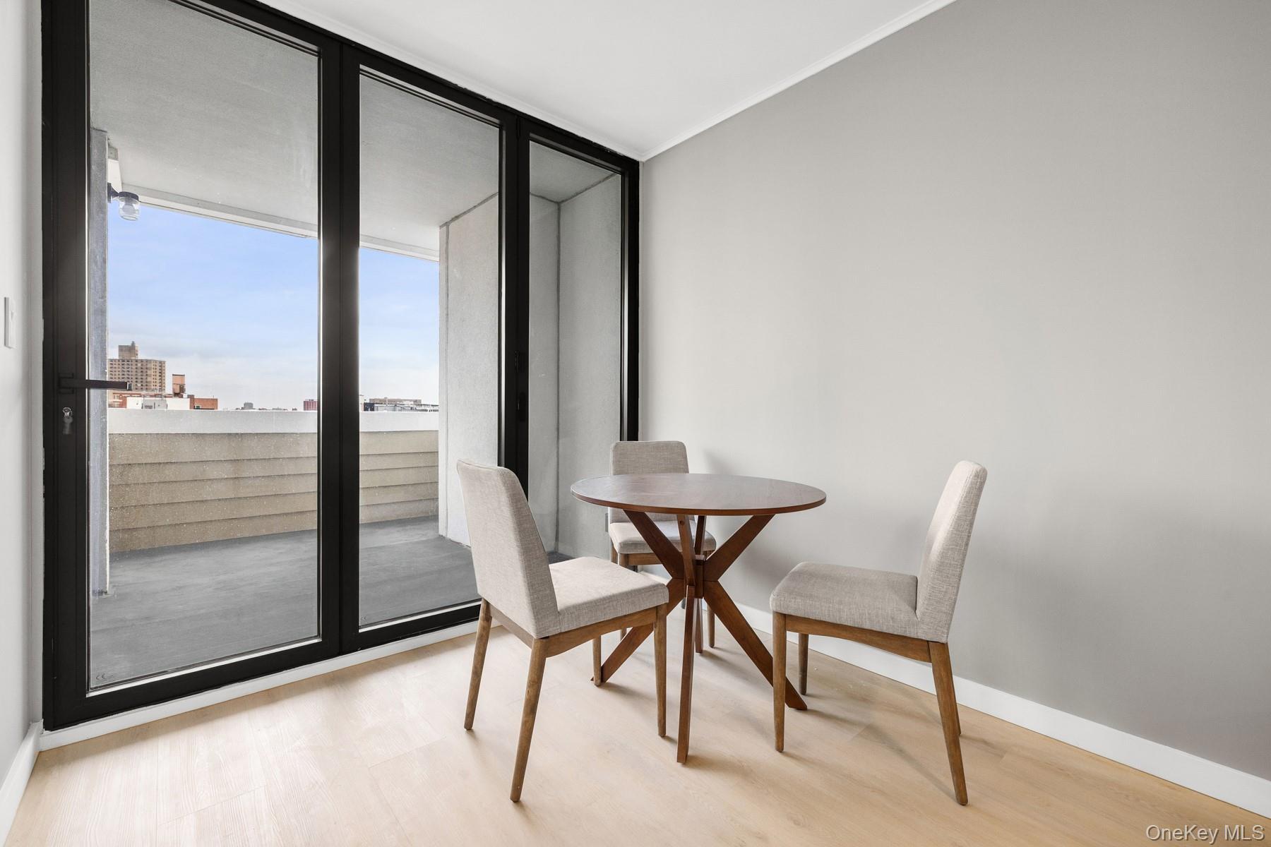 Condo Brooklyn  Brooklyn, NY 11225, MLS-975846-6