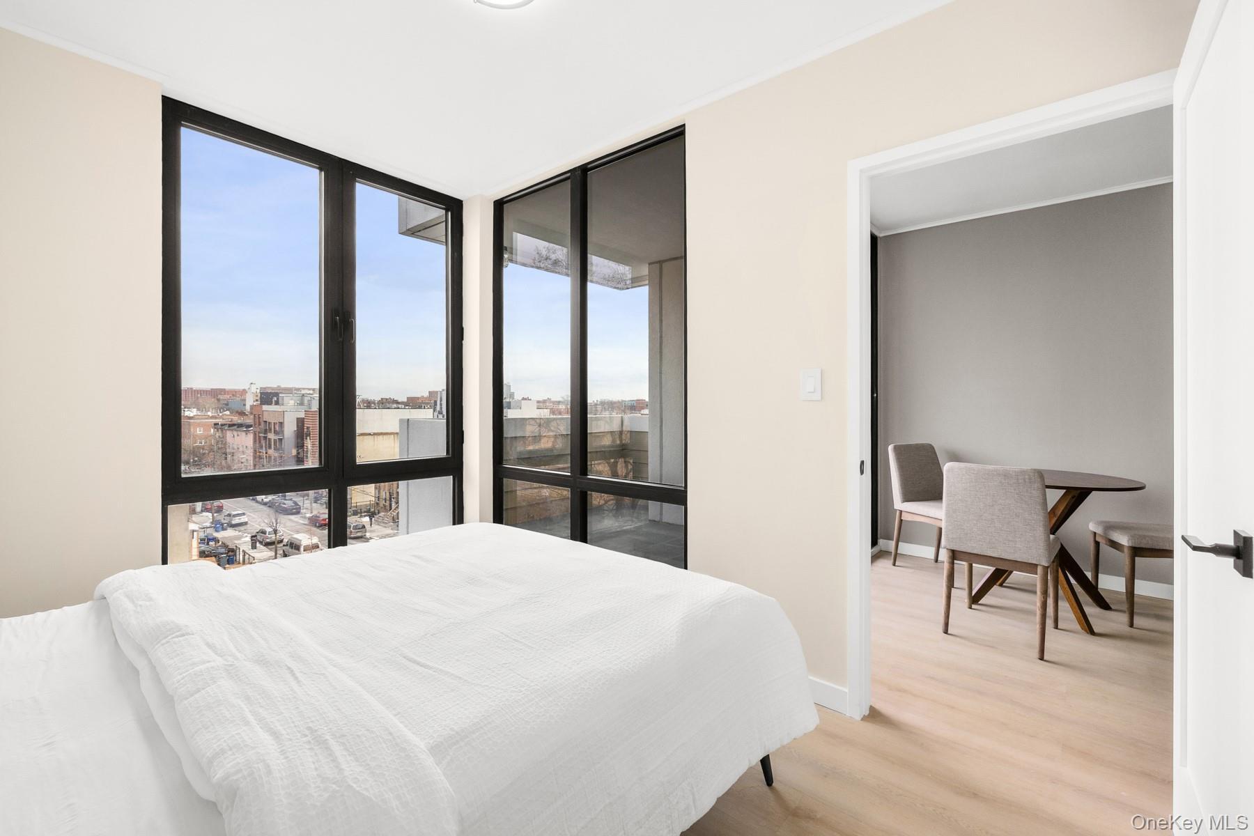 Condo Brooklyn  Brooklyn, NY 11225, MLS-975846-8