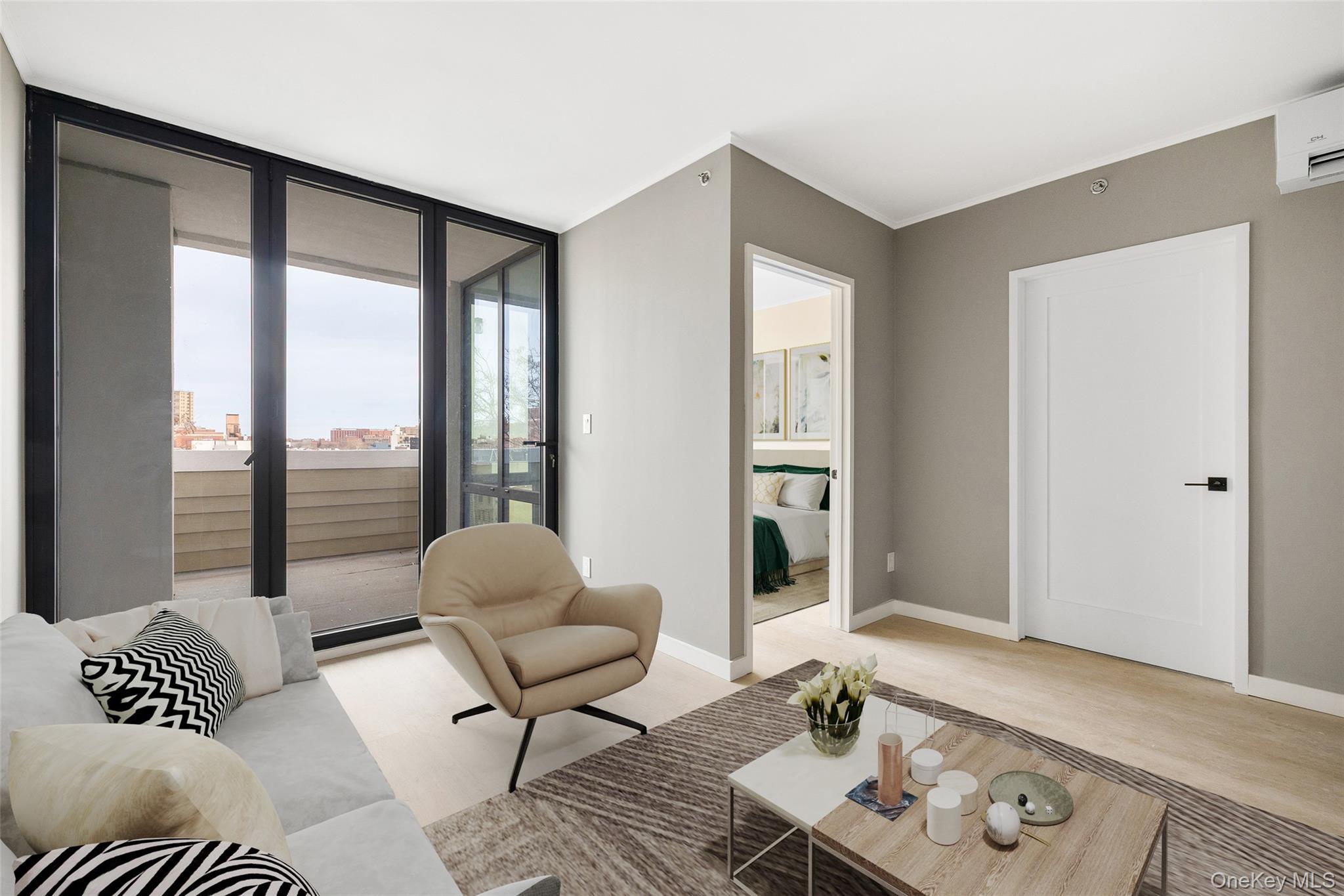 Condo Brooklyn  Brooklyn, NY 11225, MLS-975847-3