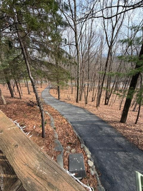 Single Family Swallow  Out Of Area, NY 18324, MLS-975860-12