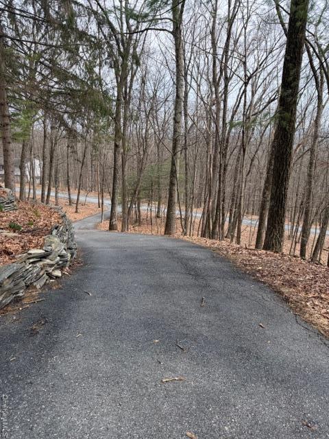 Single Family Swallow  Out Of Area, NY 18324, MLS-975860-13