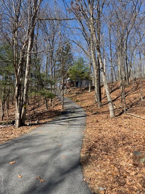 Single Family Swallow  Out Of Area, NY 18324, MLS-975860-34