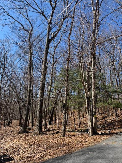 Single Family Swallow  Out Of Area, NY 18324, MLS-975860-35