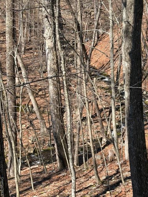 Single Family Swallow  Out Of Area, NY 18324, MLS-975860-36