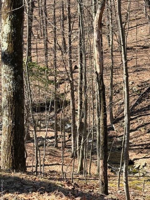 Single Family Swallow  Out Of Area, NY 18324, MLS-975860-37