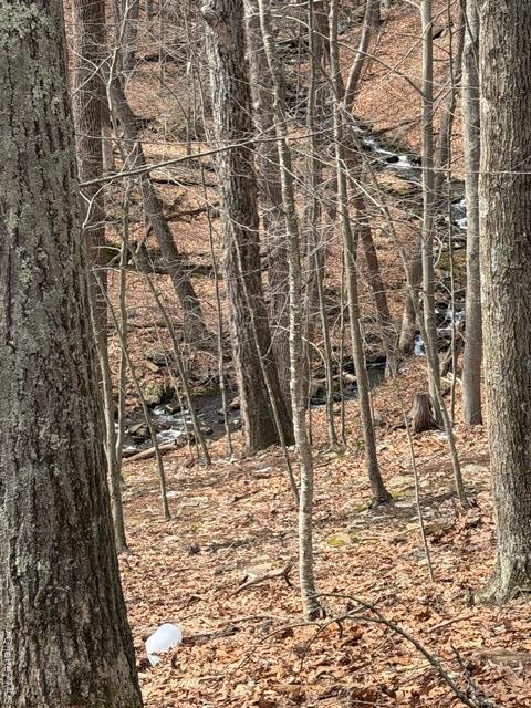 Single Family Swallow  Out Of Area, NY 18324, MLS-975860-5