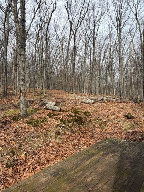 Single Family Swallow  Out Of Area, NY 18324, MLS-975860-6