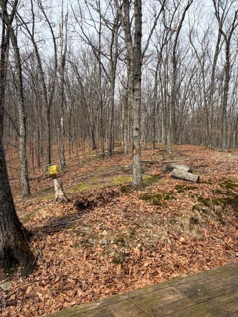 Single Family Swallow  Out Of Area, NY 18324, MLS-975860-7