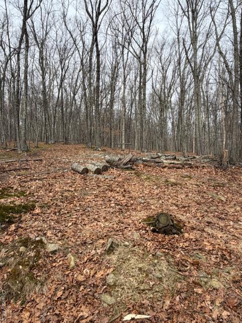 Single Family Swallow  Out Of Area, NY 18324, MLS-975860-8