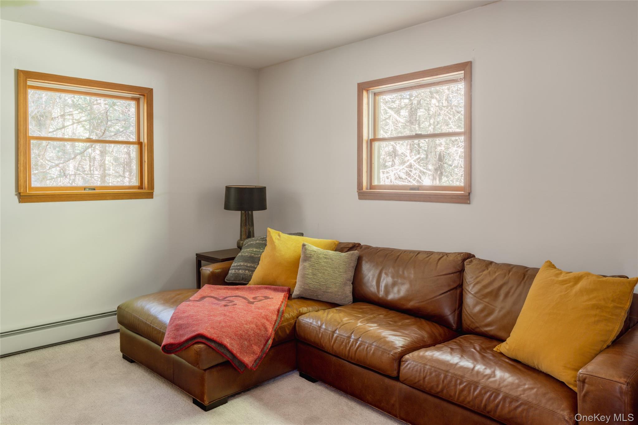 Single Family Deer Meadow  Sullivan County, NY 12786, MLS-975899-26