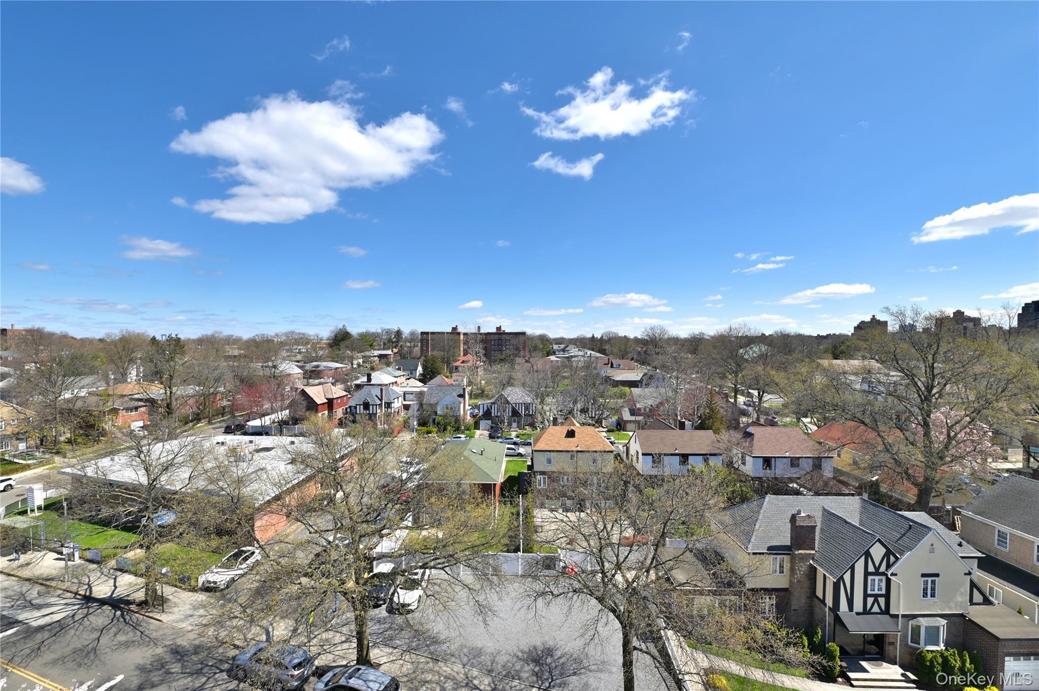 Condo Union  Queens, NY 11354, MLS-975900-22