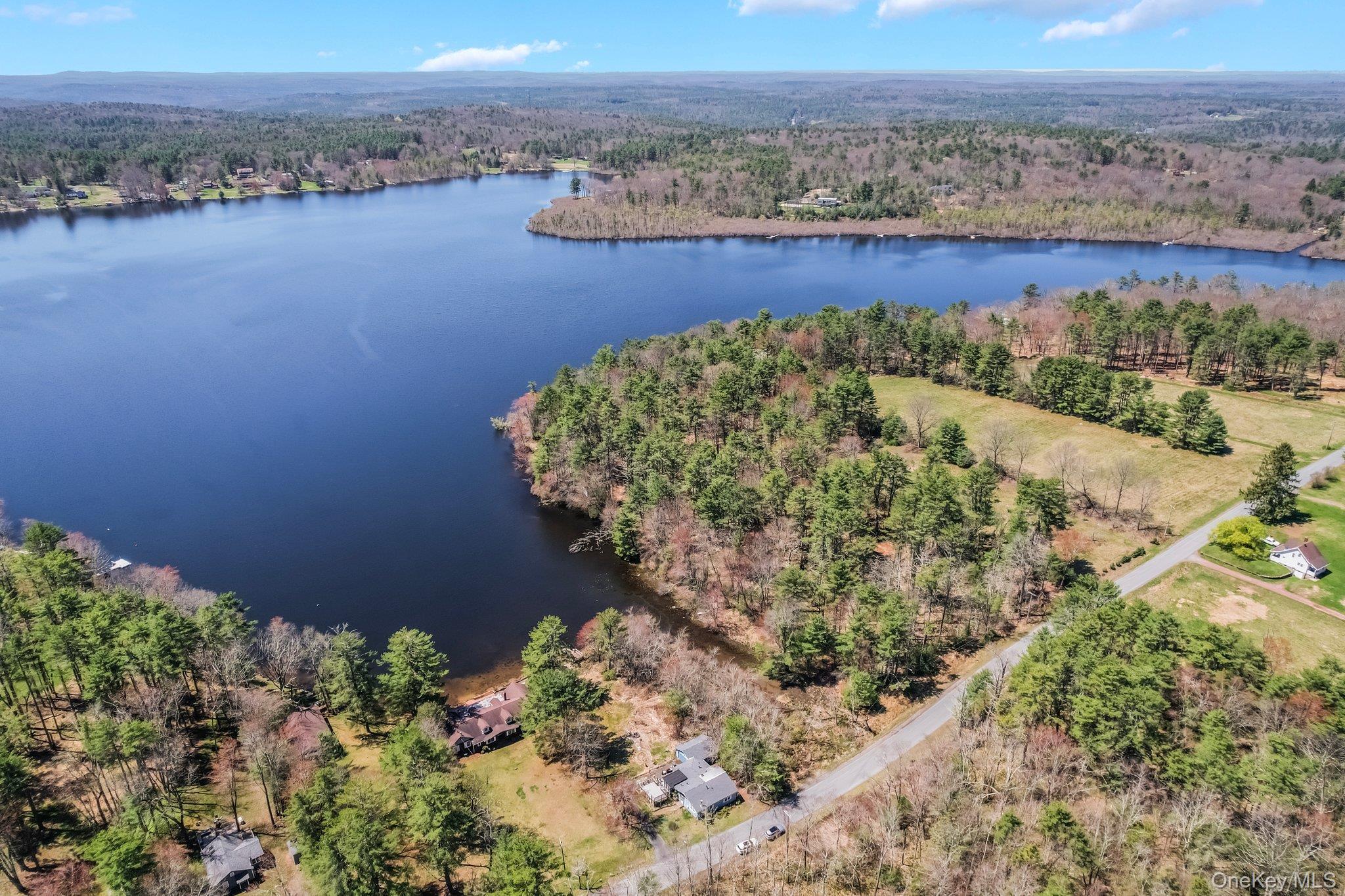 Single Family Lakeview Drive Road Sullivan County, NY 12743, MLS-975945-2