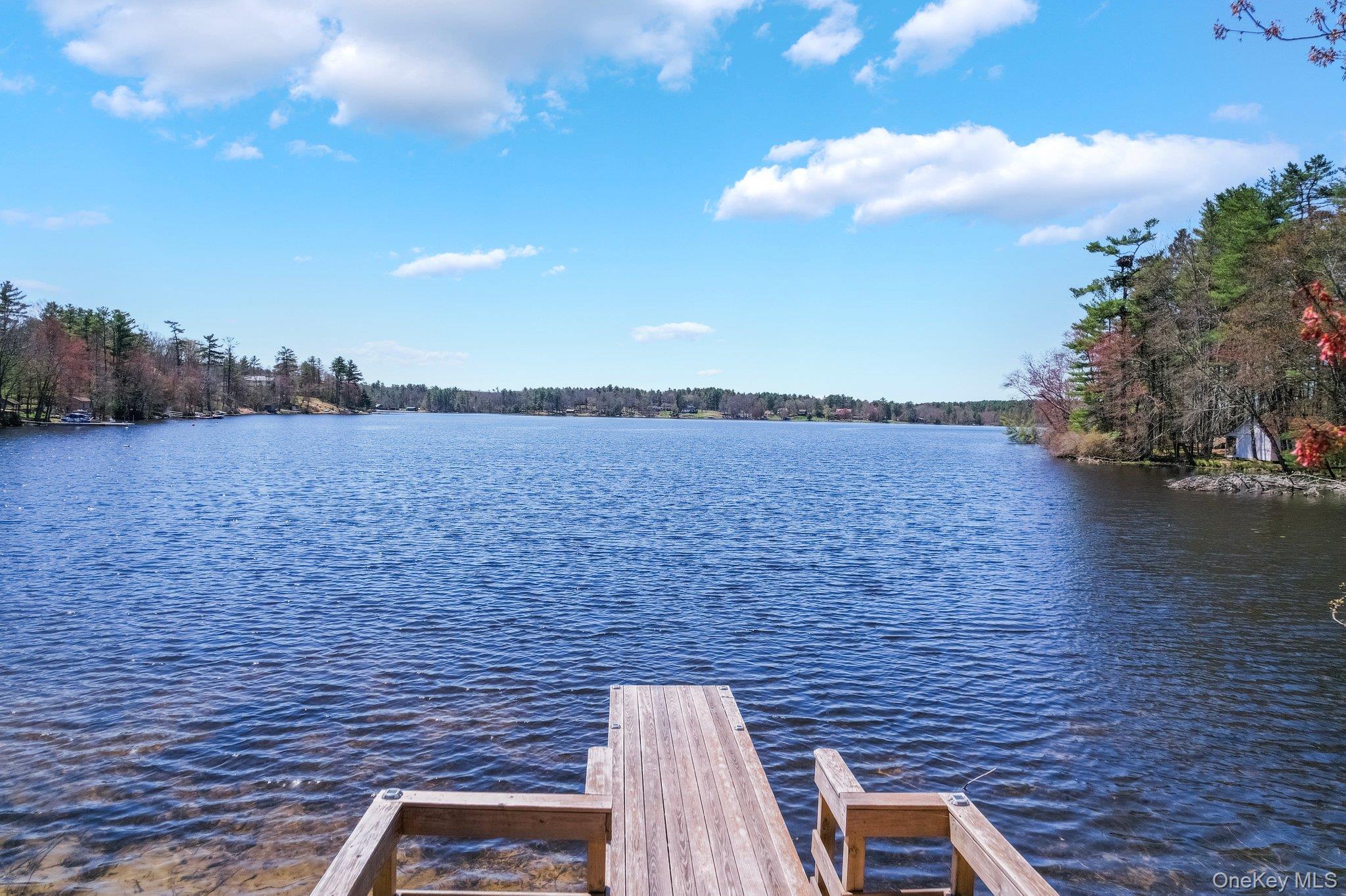 Single Family Lakeview Drive Road Sullivan County, NY 12743, MLS-975945-27