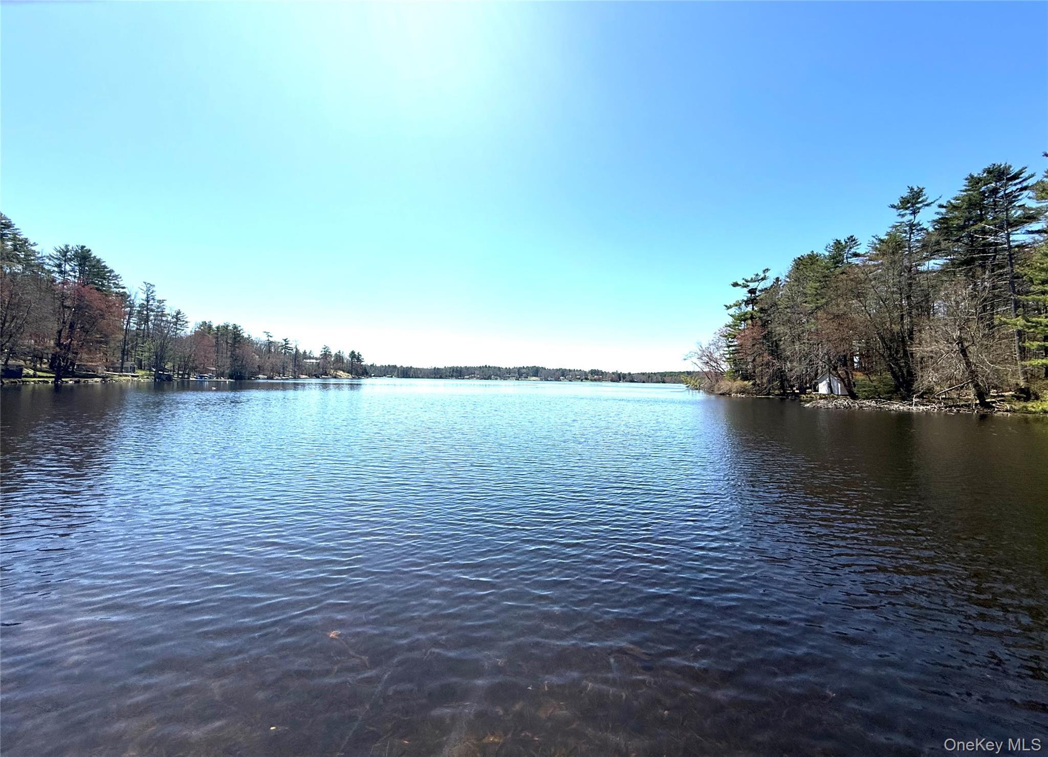Single Family Lakeview Drive Road  Sullivan County, NY 12743, MLS-975945-30